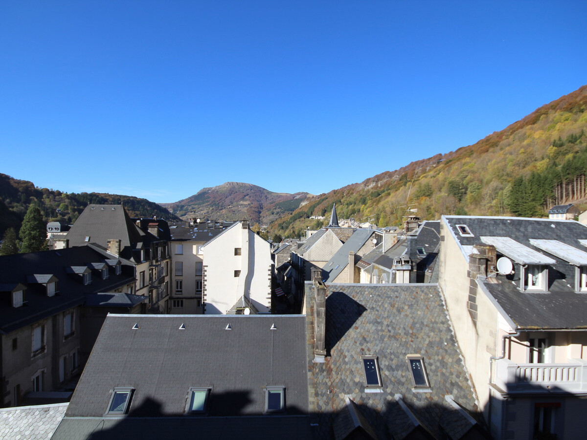 Studio 21m² face aux Thermes du Mont-Dore - Photo 2