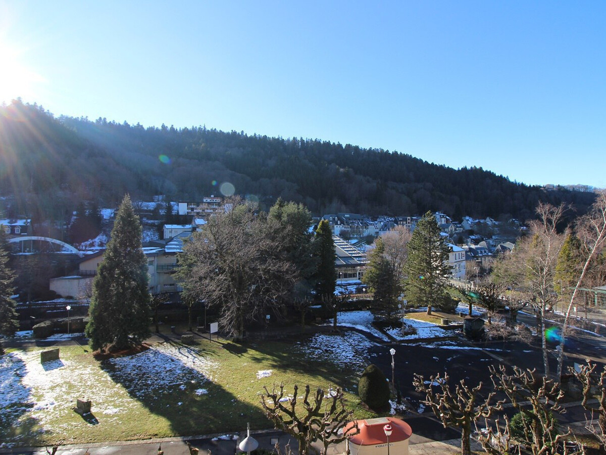 T2 40m² vue montagne et parc au Mont-Dore - Photo 3