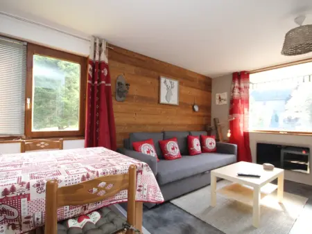 Location appartement à Mont Dore, Charmant T2 avec balcon au Mont Dore, parking inclus