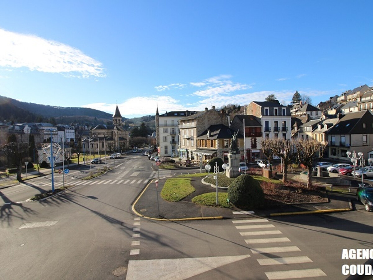 T2 rénové avec balcons à La Bourboule, près thermes - Photo 9