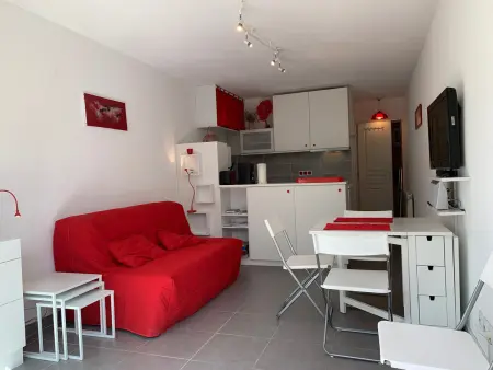Studio rénové 28 m² avec jardin à 250 m de la plage : photo 2