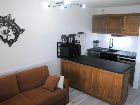 Location appartement à Pra Loup, Studio-rénové cœur station, proche pistes, vue magnifique