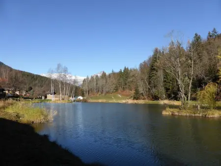 Studio 36 m² aux Houches, 150 m des pistes, balcon : photo 8