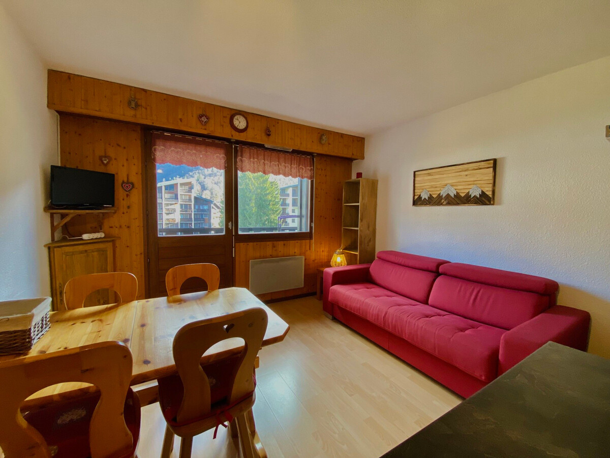 Studio lumineux 23m² centre Samoëns, vue Criou - Photo 3