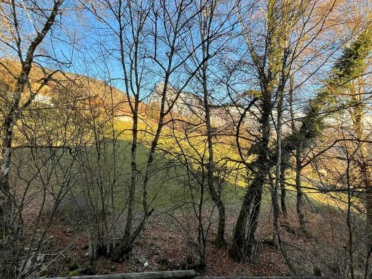 Studio 21 m² terrasse vue forêt pour 4 à Samoëns - Photo 6