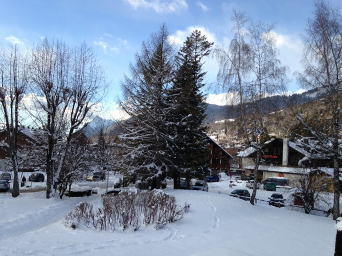 Appartement 43m² vue montagne, balcon - Samoëns - Photo 16
