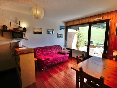Appartement 40m² vue pistes au Chinaillon, grande terrasse sud : photo 16