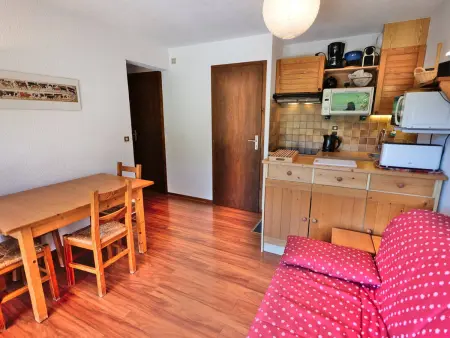 Appartement 40m² vue pistes au Chinaillon, grande terrasse sud : photo 20
