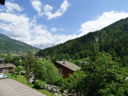 Appartement 3 pièces mezzanine 71m² au cœur du Grand-Bornand : photo 13