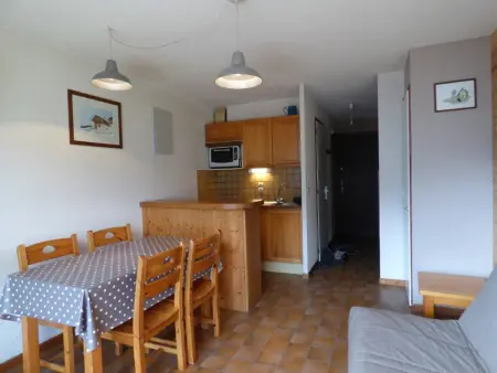 Studio cabine 4 pers. au Grand-Bornand, balcon sud : photo 2