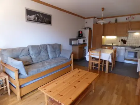 Appartement 41m² au pied des pistes - Le Grand-Bornand : photo 3