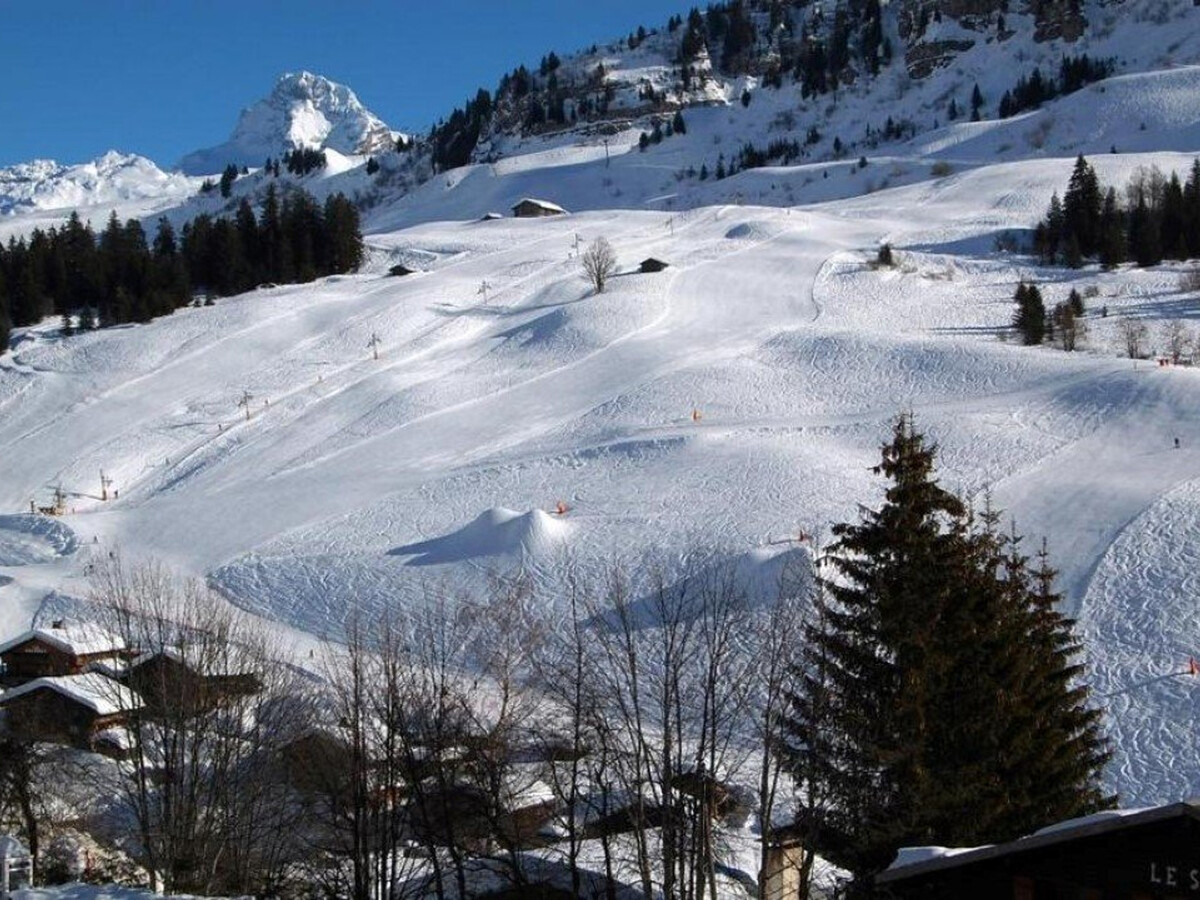 Studio 4 personnes avec vue domaine skiable au Grand-Bornand - Photo 19