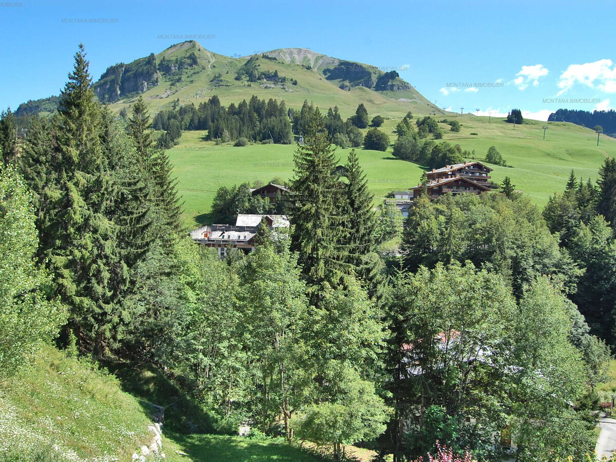 Duplex 2 chambres face aux pistes - Le Grand-Bornand - Photo 10