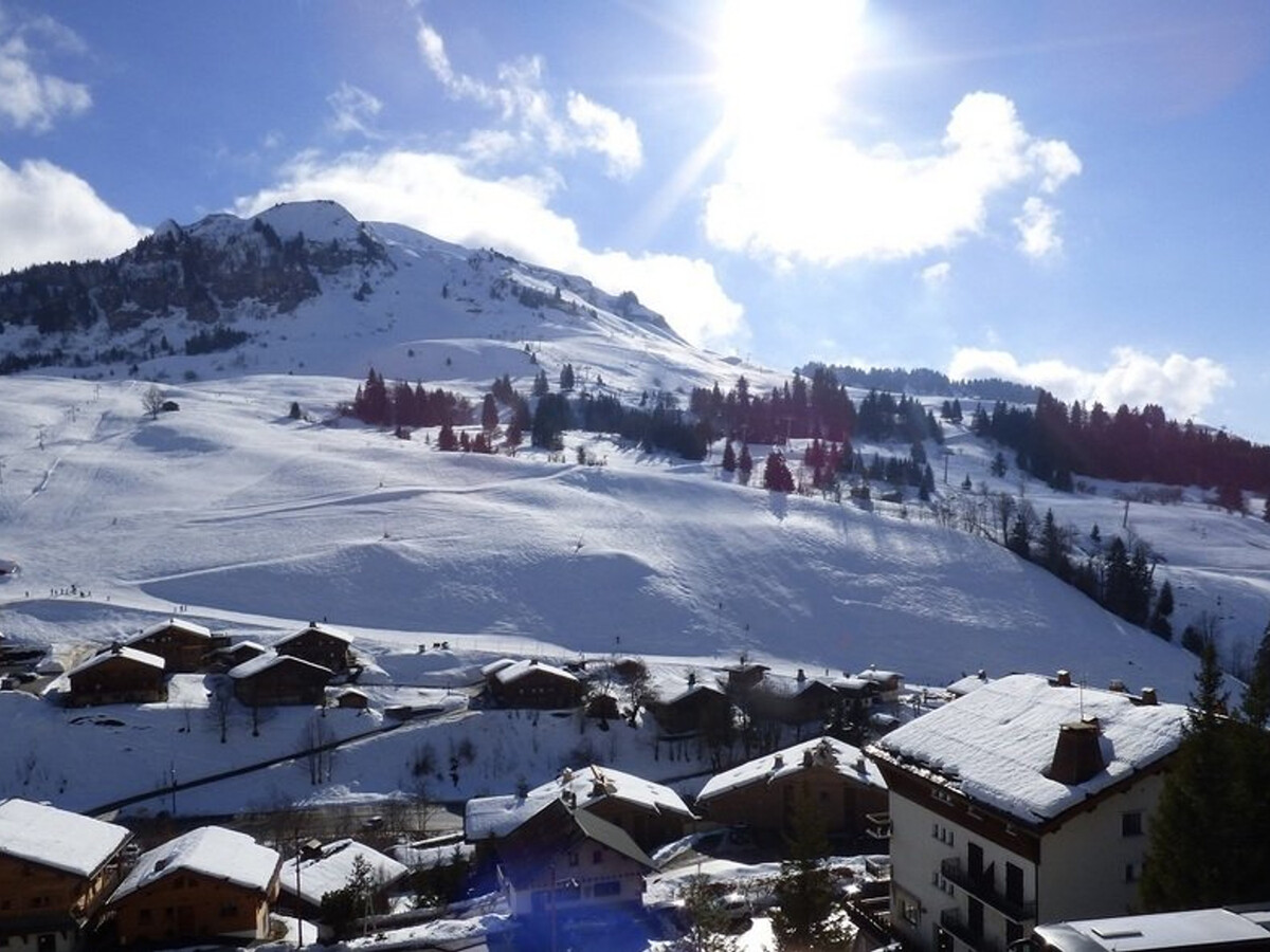 Studio savoyard 20m² balcon SUD, Le Grand-Bornand - Photo 9