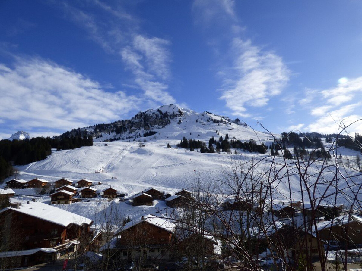 Studio savoyard 20m² balcon SUD, Le Grand-Bornand - Photo 12