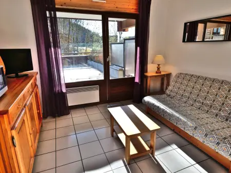 2 pièces + cabine 6 pers au Grand-Bornand, terrasse sud : photo 7