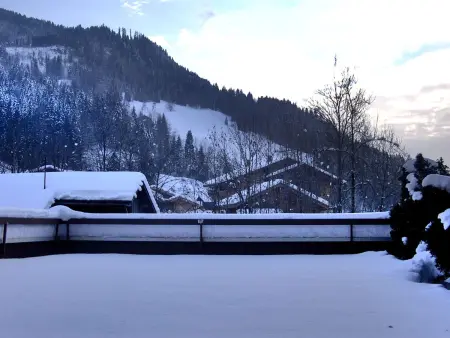 2 pièces + cabine 6 pers au Grand-Bornand, terrasse sud : photo 20