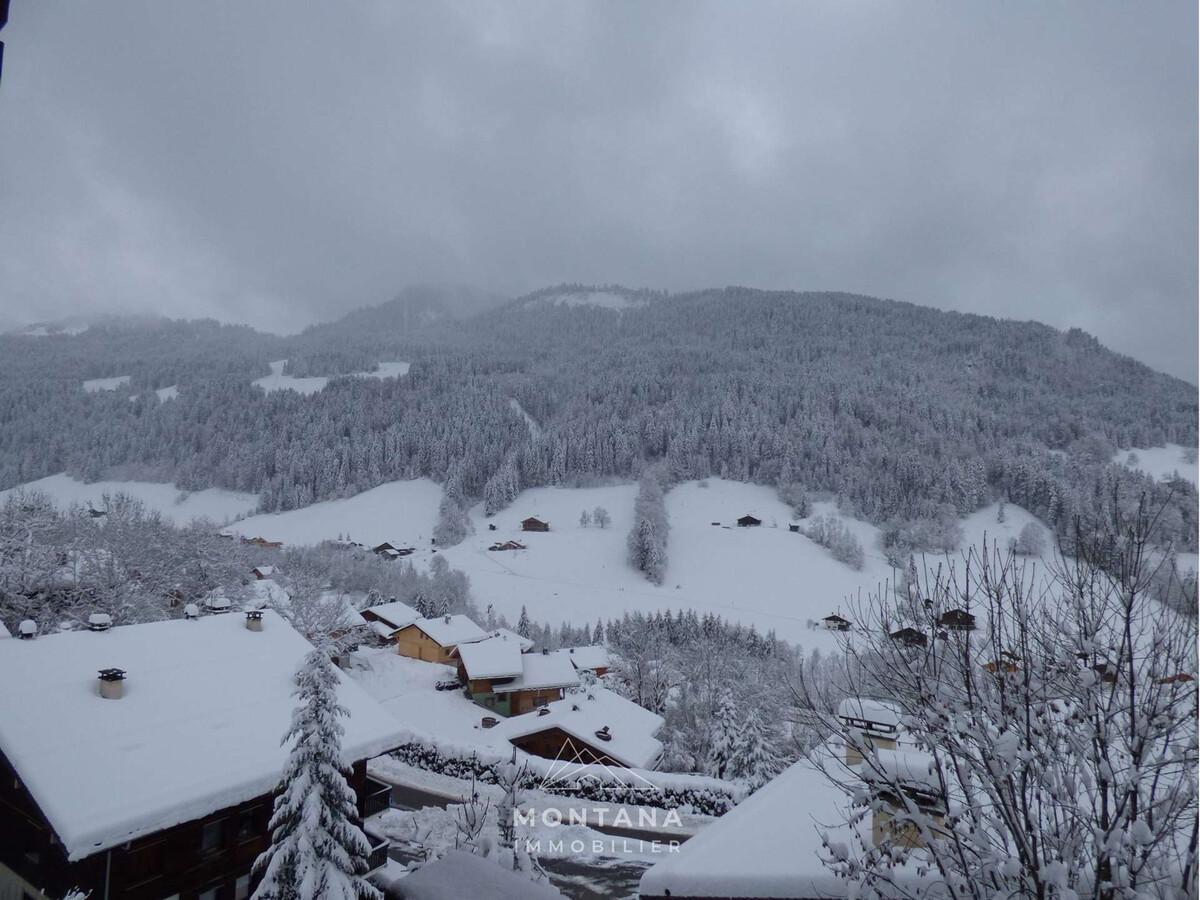 Studio rénové 5 pers avec cabine - Le Grand-Bornand - Photo 11