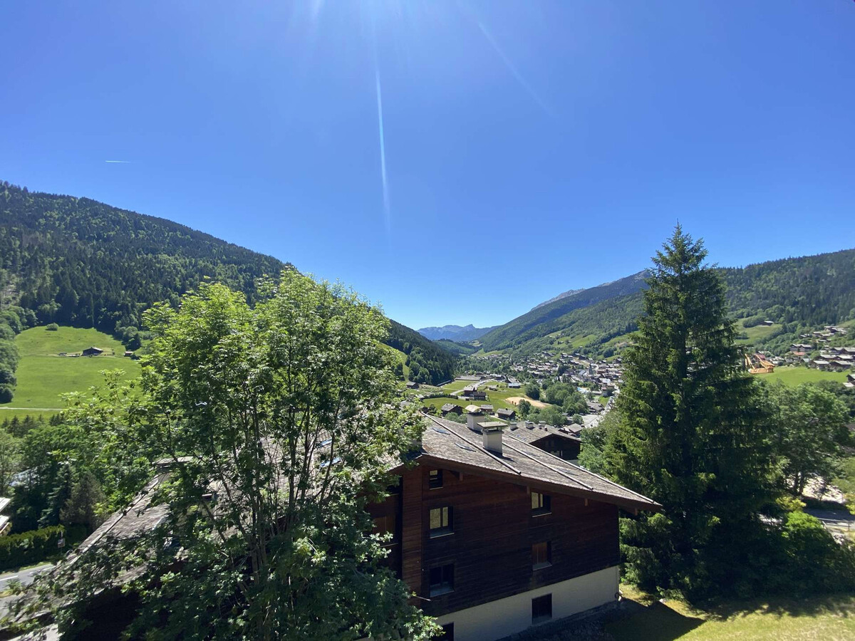 Studio rénové 5 pers avec cabine - Le Grand-Bornand - Photo 14