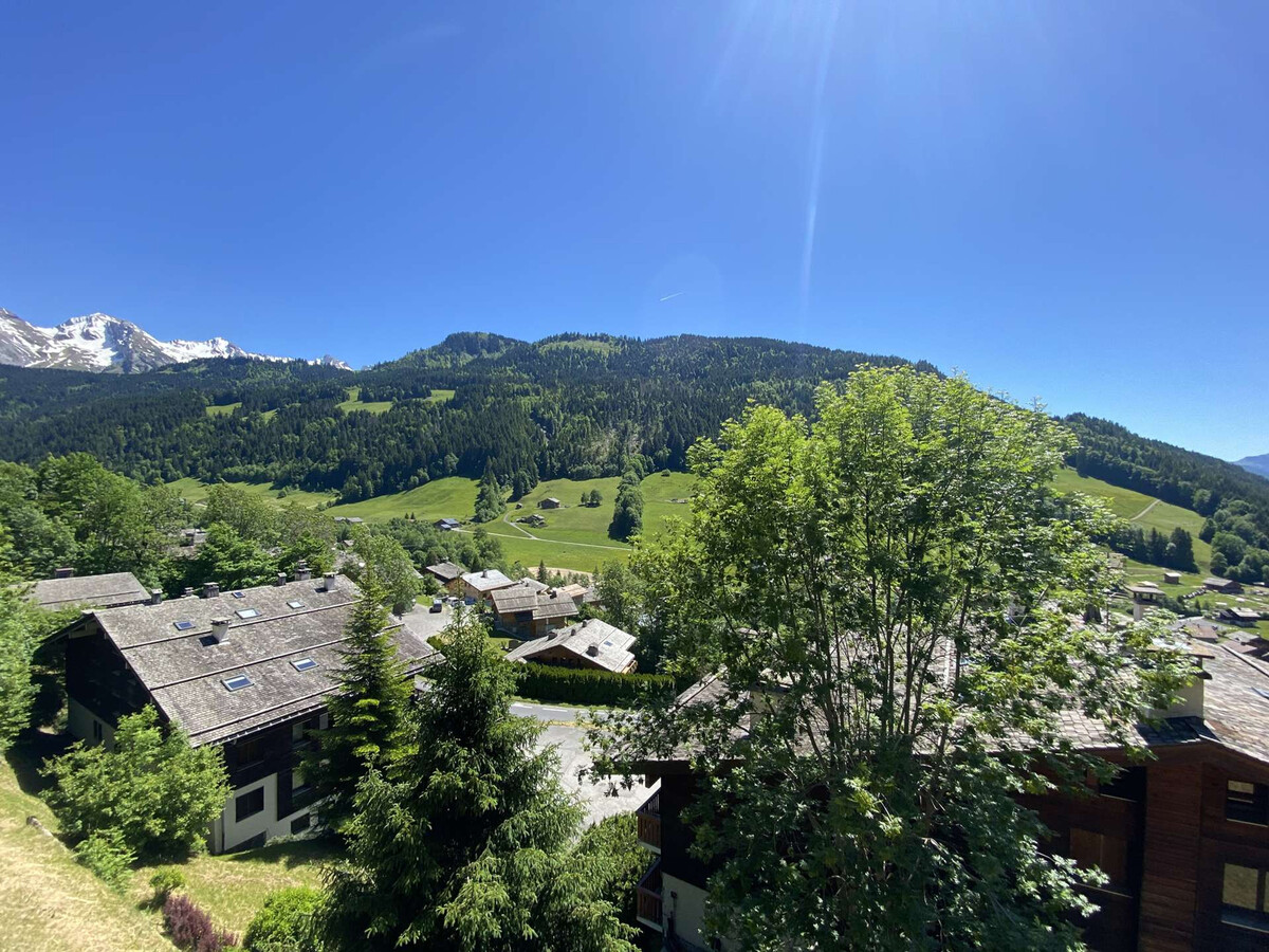 Studio rénové 5 pers avec cabine - Le Grand-Bornand - Photo 15
