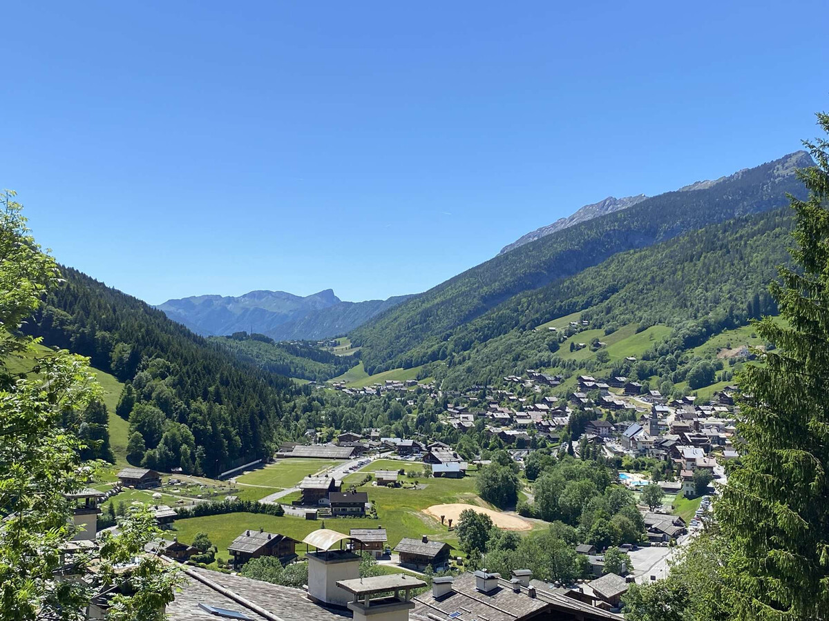 Studio rénové 5 pers avec cabine - Le Grand-Bornand - Photo 16