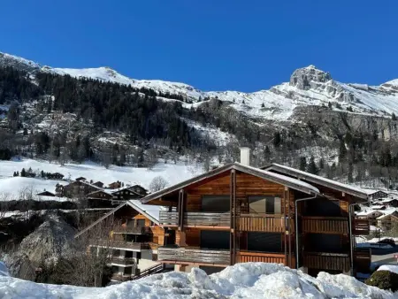 T2 skis aux pieds au Grand-Bornand, terrasse Sud-Est : photo 12