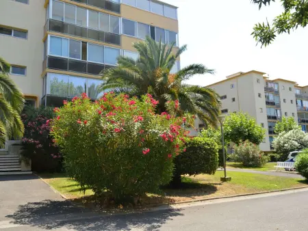 Studio cabine 4 pers à 300m de la plage, clim, parking : photo 17