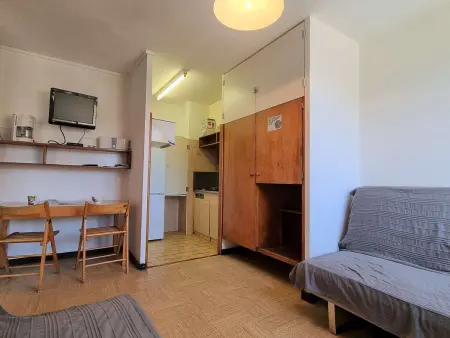 Location appartement à Le Dévoluy, Studio confortable, accès pistes à 50m, parking gratuit, navette proche