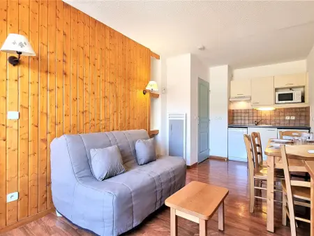 Appartement 2 pièces avec terrasse et accès piscine au Dévoluy : photo 2