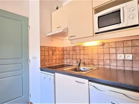 Appartement 2 pièces avec terrasse et accès piscine au Dévoluy : photo 3