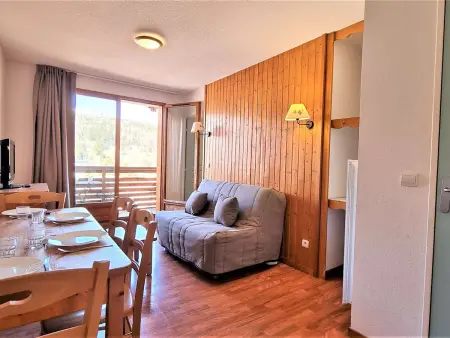 Appartement 2 pièces avec terrasse et accès piscine au Dévoluy : photo 7