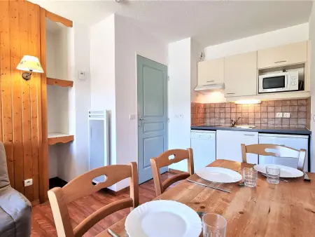 Appartement 2 pièces avec terrasse et accès piscine au Dévoluy : photo 8