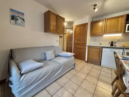 T2 cabine rez-de-chaussée avec parking à Praz-sur-Arly : photo 3