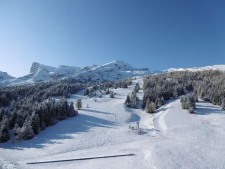 Appart 2 pièces montagne, 200m des pistes, vue Pic de Bure : photo 13