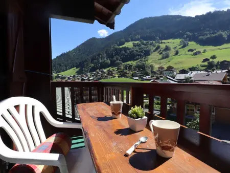 Location appartement à Arêches Beaufort, Duplex 6 Pers à Arêches-Beaufort :  Piscine, Garage, Proche Ski, Animaux OK, Wifi