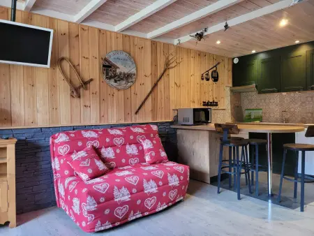 Studio 30m² balcon sud à Pra-Loup, proche des pistes : photo 7