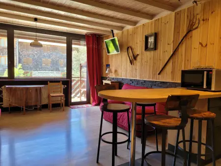 Studio 30m² balcon sud à Pra-Loup, proche des pistes : photo 8