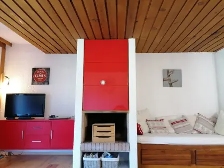 Appart 2 pièces rénové, balcon sud, vue pistes à Pra-Loup : photo 10