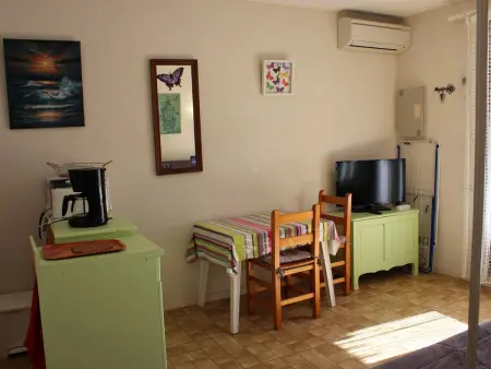 T2 climatisé avec jardin privé et piscine, Saint-Cyprien : photo 5