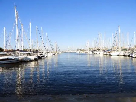 T2 climatisé avec jardin privé et piscine, Saint-Cyprien : photo 18
