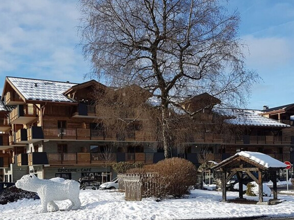Appartement 2 pièces centre Samoëns, terrasse et parking - Photo 17