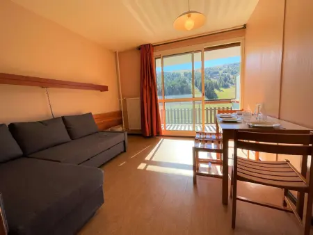 Studio 4 pers terrasse Sud-Ouest, parking, wifi – Le Dévoluy : photo 12