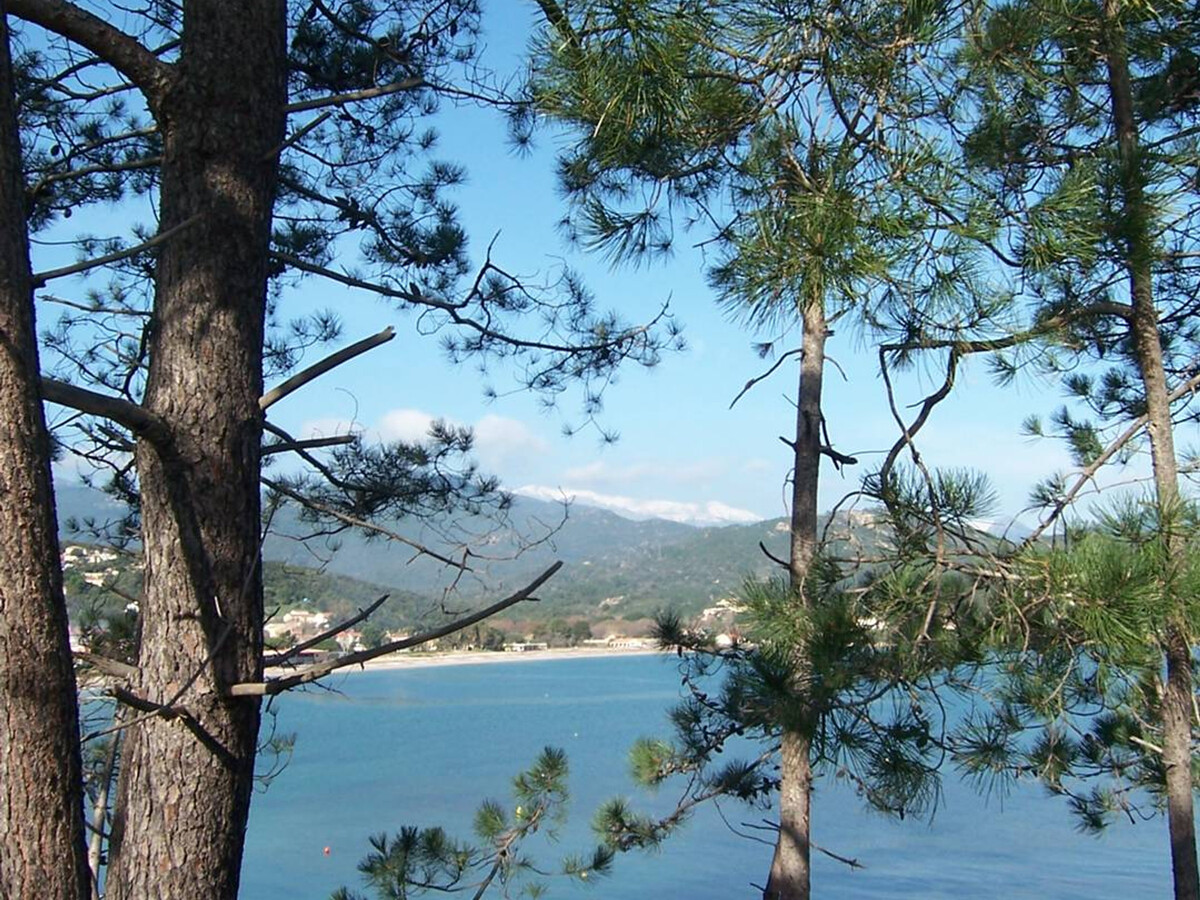 Appartement à Favone, 2 min de la plage - Terrasse vue mer - Photo 14