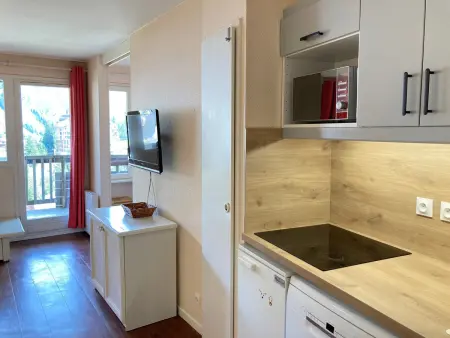 Appartement 2 pièces ski aux pieds, vue montagne, Avoriaz : photo 6