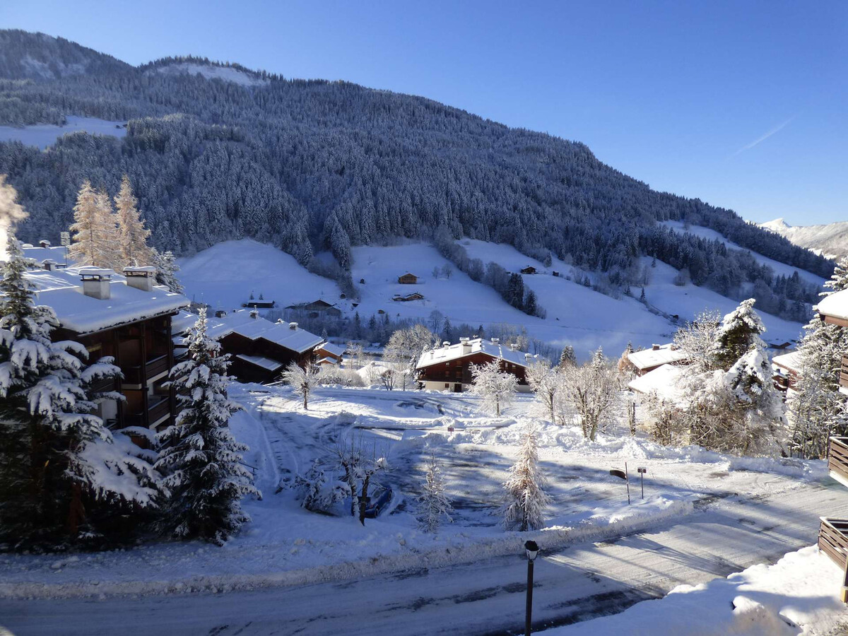 Studio 23m² balcon Aravis, parking couvert au Grand-Bornand - Photo 1