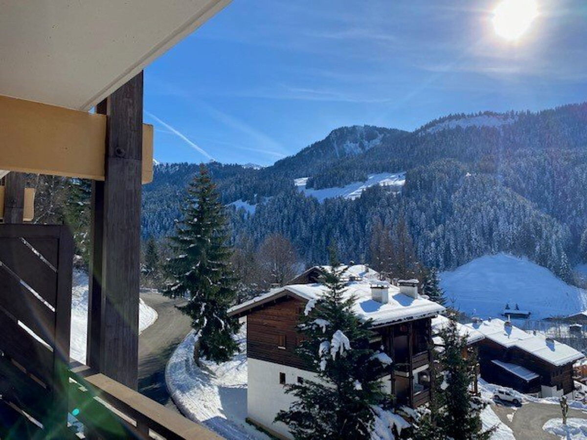 Studio 23m² balcon Aravis, parking couvert au Grand-Bornand - Photo 13