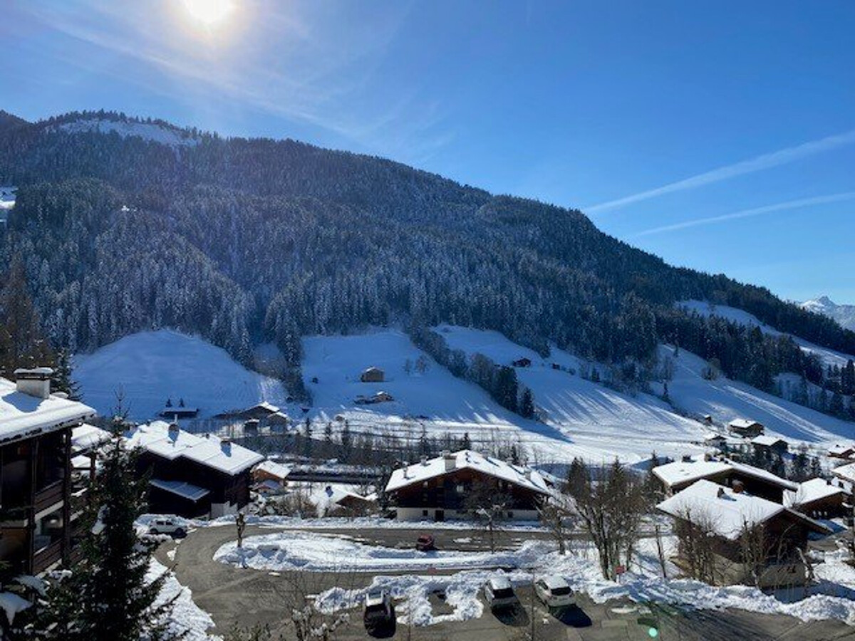 Studio 23m² balcon Aravis, parking couvert au Grand-Bornand - Photo 14