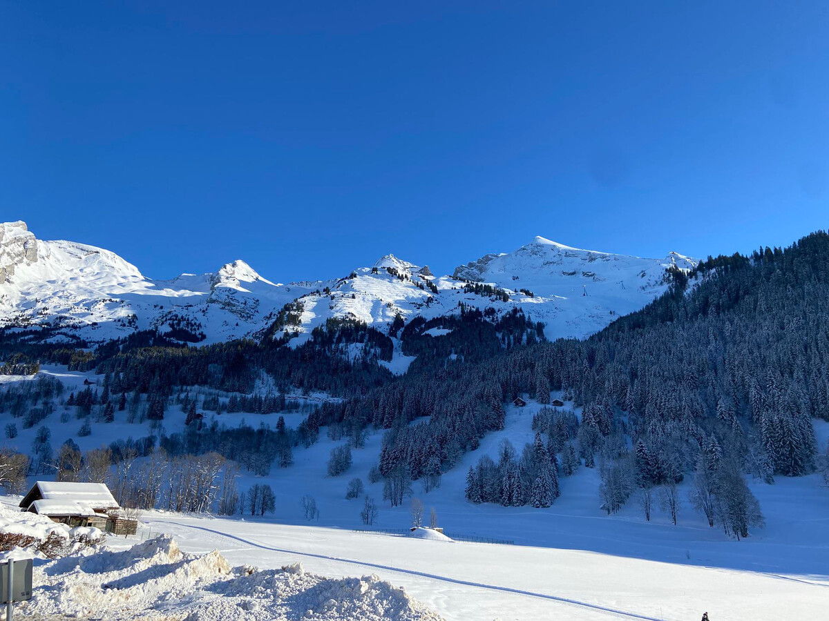 Appartement 36m² vue Aravis, 4-6 pers, La Clusaz - Photo 9