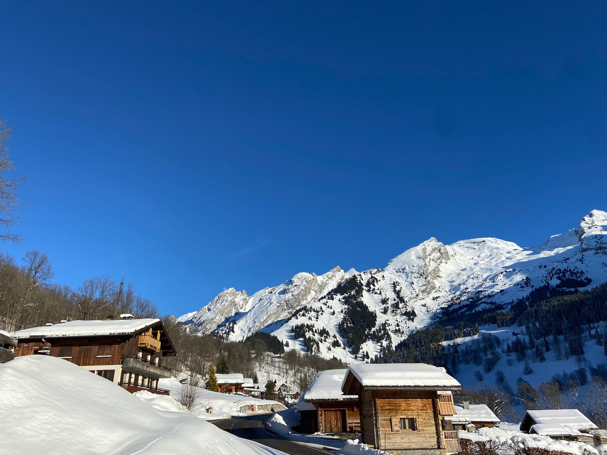 Appartement 36m² vue Aravis, 4-6 pers, La Clusaz - Photo 10