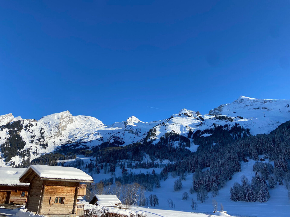 Appartement 36m² vue Aravis, 4-6 pers, La Clusaz - Photo 11